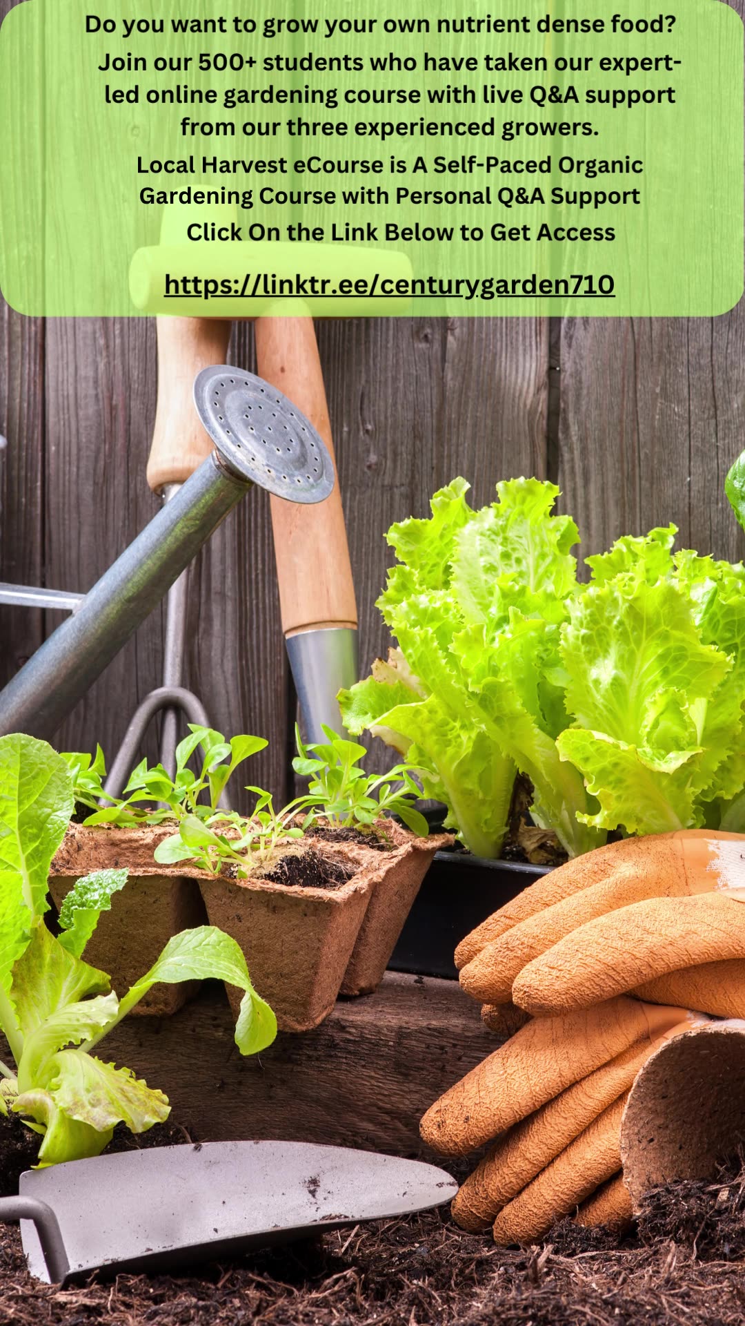 View of Local Harvest Self Sufficiency Gardening