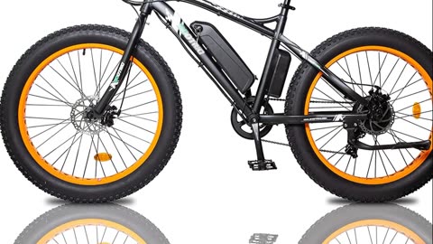 ECOTRIC Fat Tire Electric Bike Beach Snow Bicycle