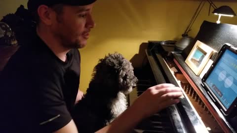 CUTE PUPPY LEARNING TO PLAY PIANO