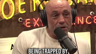 Joe Rogan Drops Bad News for Democrats