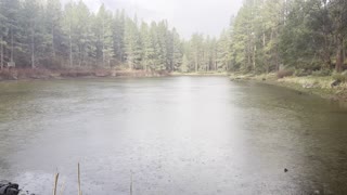 Hiking the Ecologically Interesting Deschutes River Trail – Central Oregon – 4K