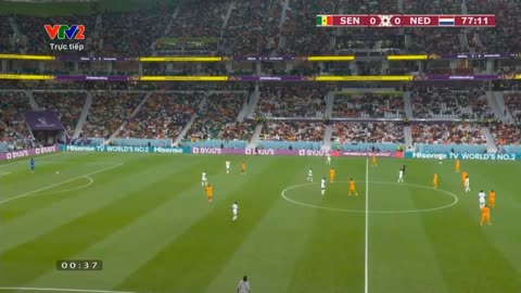 Netherlands vs Senegal 2 - 0 world cup Qatar 2022