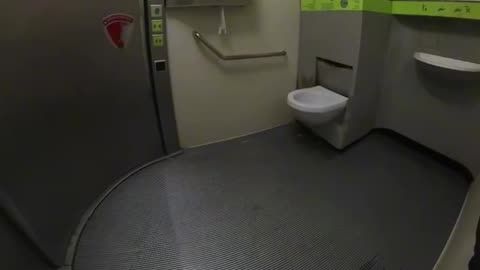 Self cleaning toilet viral video