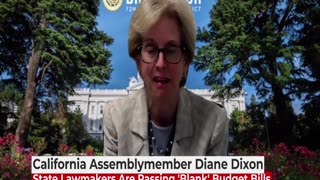 California Is Passing Totally BLANK Legislation | Interview w/ Diane Dixon