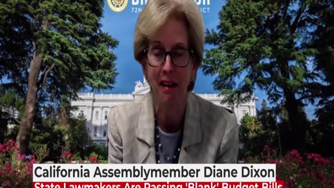 California Is Passing Totally BLANK Legislation | Interview w/ Diane Dixon