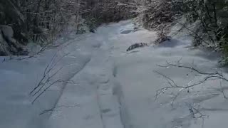 Exploring the Serene Forest: Hiking Through Icy Trees #canadiannature #canadianwinter #hiking