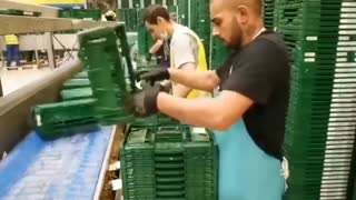 Amazing Workers Do Their Job #part 6