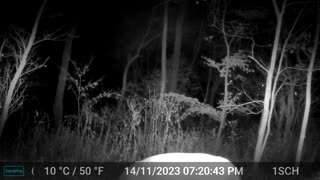 Trail cam by the rented ground