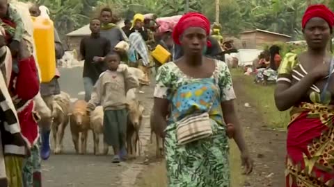 Thousands flee fighting in eastern DR Congo _ Al Jazeera Newsfeed