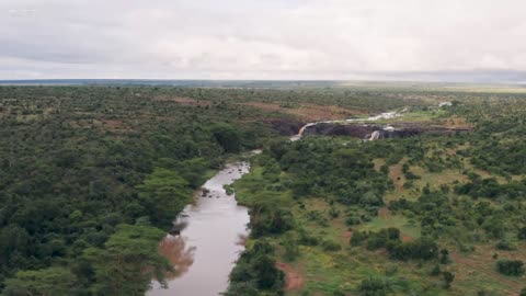 African Wildlife: Most Amazing Animal Encounters in Kwazulu-Natal With Real Sounds in 4K