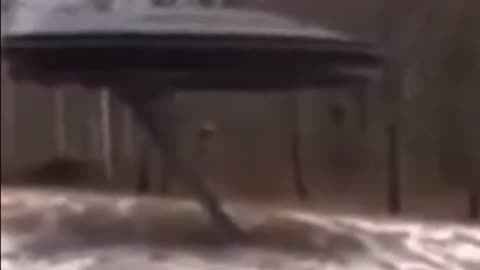 Ufo Strange Alien Filmed by a ranger in Siberia