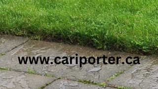 Hail falling on Patio and Grass lawn in Backyard in Spring in Canada