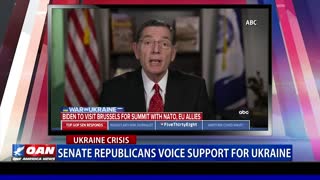Senate Republicans Voice Support for Ukraine