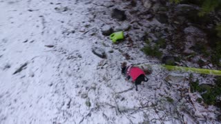Dog-In-a-Sock and The First Snow