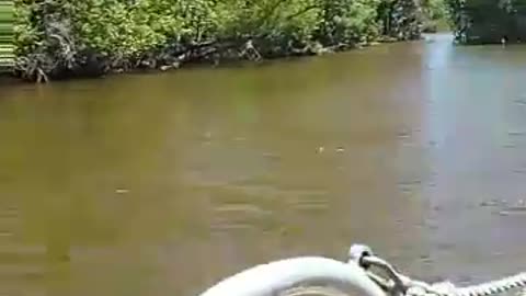 Louisiana Swamp Tour Fan Boat