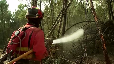 Spanish wildfires rip through Salamanca province