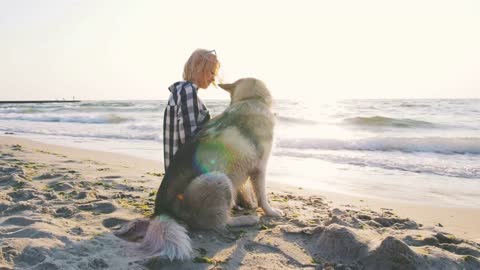 Young female playingwith siberian husky dog on the beach at sunrise