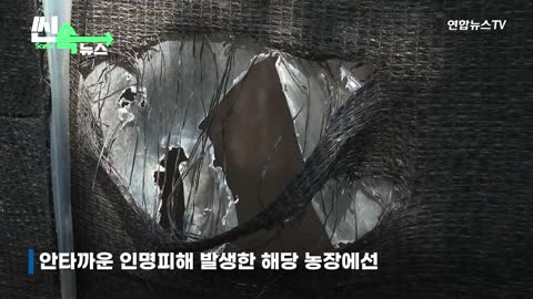 [씬속뉴스] 한국 맞아 사육장 탈출한 곰에 농장 부부 참변…곰도 사살 연합뉴스TV (YonhapnewsTV)