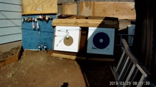 High Density Foam Archery Targets