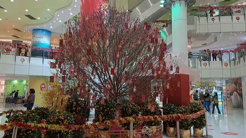 Marina Square West Lunar New Year decorations 海怡半島西商場農曆新裝飾