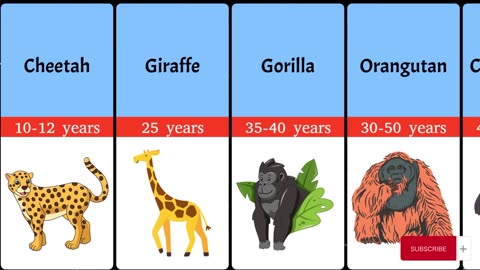 Shortest to Longest Lifespan of Animals, Birds, and Insects