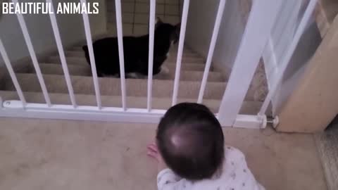 Babies playing with Cats Together, very Funny Pets Videos. Part -VI.