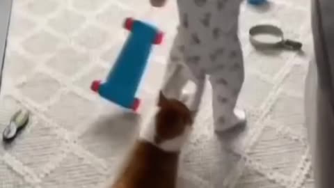 Funny cat playing with cute baby