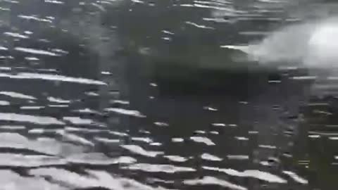 The crocodile swam so fast in the water that it could catch up with the fishing boat