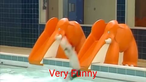 DIVE Mr. Bean ! Funny Clip | Mr Bean Official Very Funny Clips