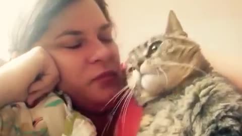 Talking cat says NO! to kisses on its head