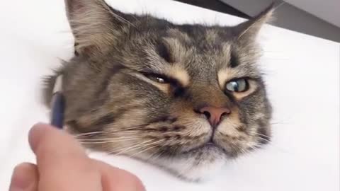 Painting a hyperrealistic cat face in 3D