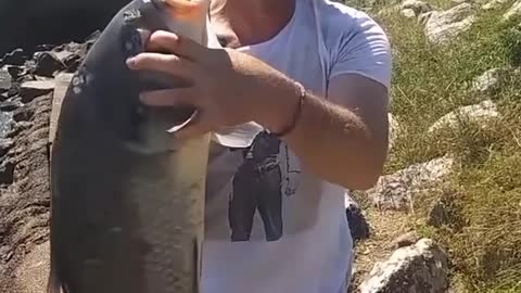 Catching a 3 foot buffalo carp / fish!