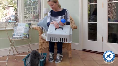 Training a cat to accept their a carrier