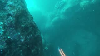 Spearfishing Hawaii - Menpachi and Papio - Hawaiishoots Diving
