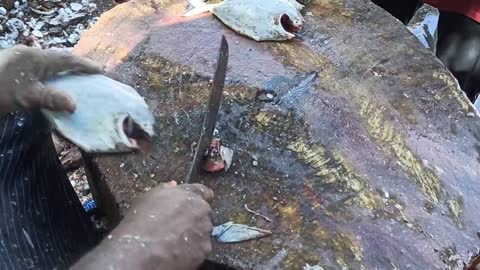 Fish Cooking