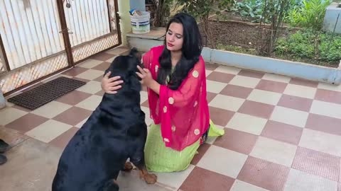 Anshu is falling down because of my dog || funny dog video