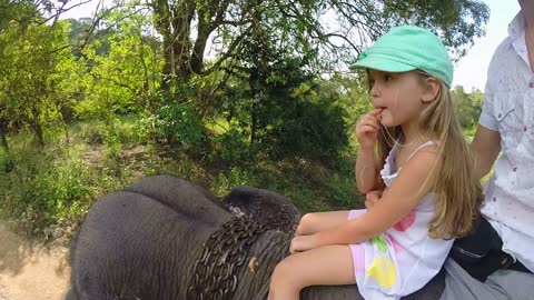 Cute little blond girl enjoying elephant safari with her father in ri Lanka