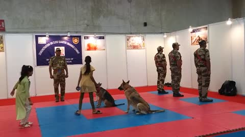 INDIAN ARMY DOG TRAINING.