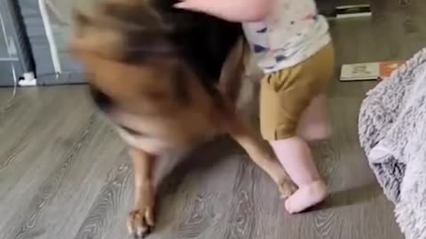 Adorable pup makes baby laugh hysterically