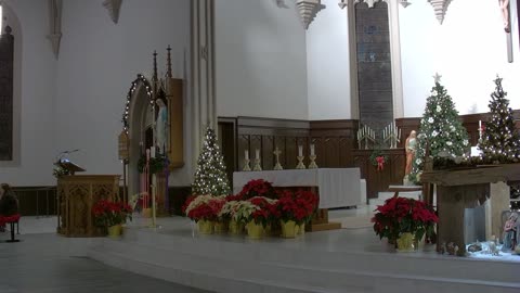 Christmas Night Mass: Readings and Homily