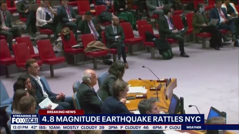 Video captures moments 4.8 magnitude earthquake rattles NYC