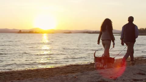 Couple walking with two beagle dogs on leashes along sandy lakeshore at beautiful