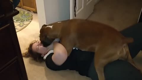 Woman viciously mauled by boxer dog!