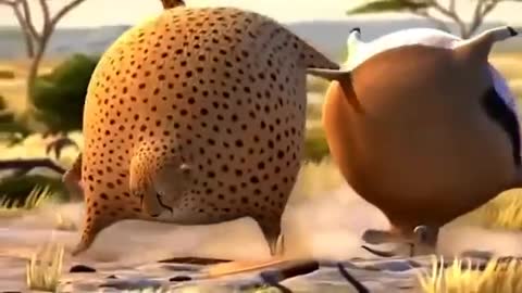 funny fat animal video