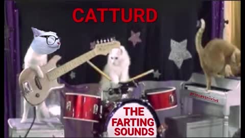 Happy Birthday, Catturd!