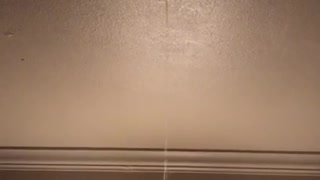Roof leak in Hotel at 2am
