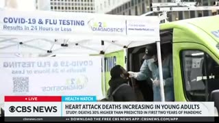 MSM admits heart attack deaths in ages 25-44 are 30% higher than average over the past two years