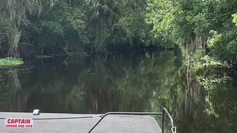 Airboat Ride