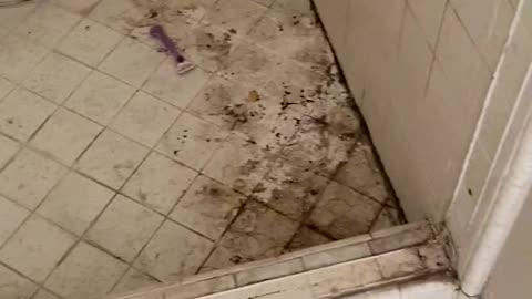 The filthiest bathroom you’ve ever seen.