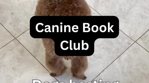 Canine Book Club
